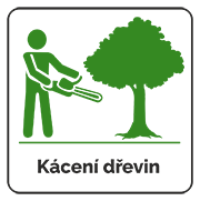 Kácení dřevin
