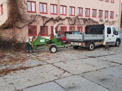 Štěpkování