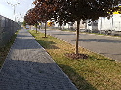Zálivka