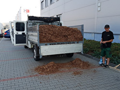 Doplnění mulčovací kůry