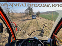 odstranění náletových dřevin