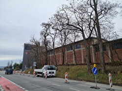 kácení aleje UP Olomouc
