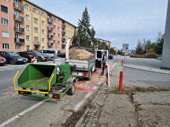kácení aleje UP Olomouc