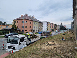 kácení aleje UP Olomouc