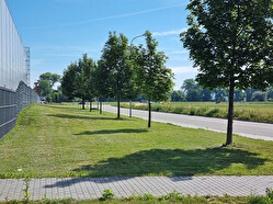 Mulčování 