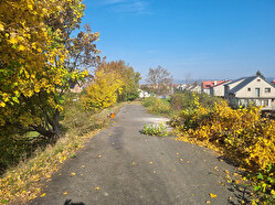 kacení dřevin Štěpánov