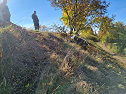 kacení dřevin Štěpánov