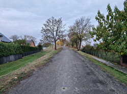 kacení dřevin Štěpánov