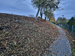 kacení dřevin Štěpánov